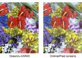 Vivid Color Vivid Color