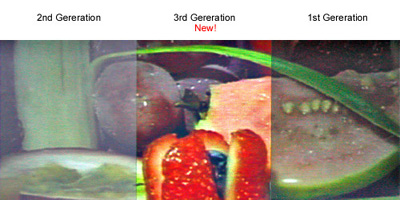 Vivid Color Vivid Color