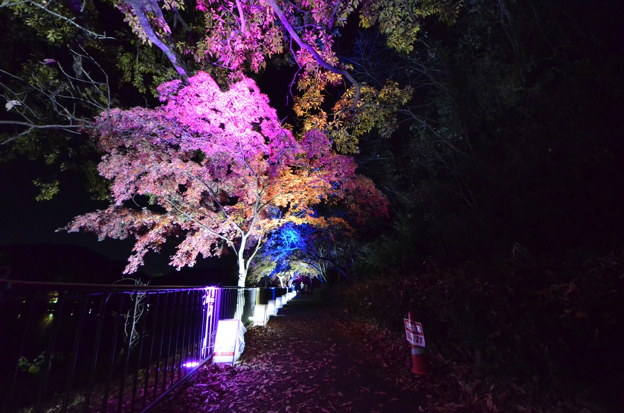 八丁湖ヒーリングナイト2017