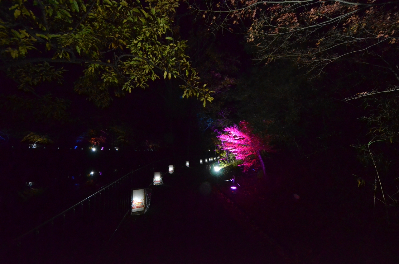 八丁湖ヒーリングナイト2017