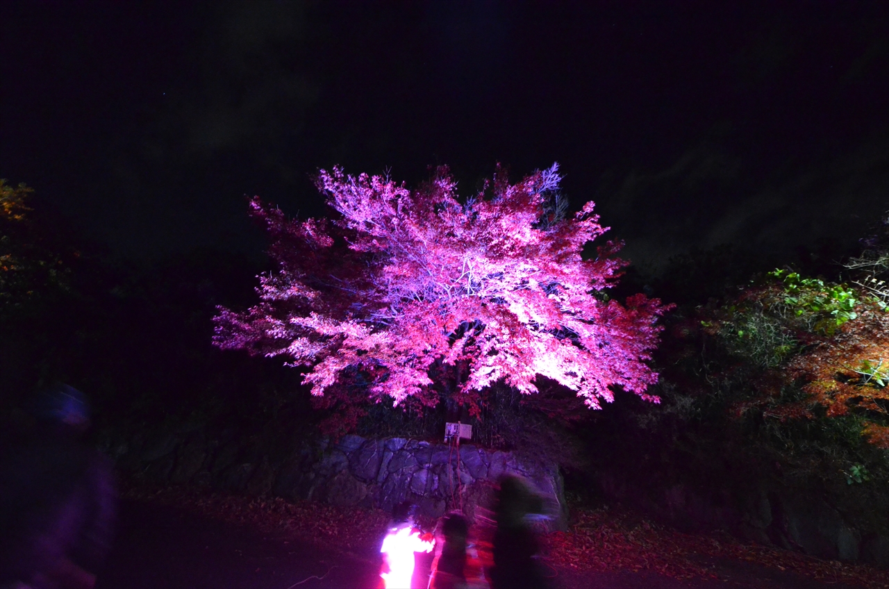 八丁湖ヒーリングナイト2017