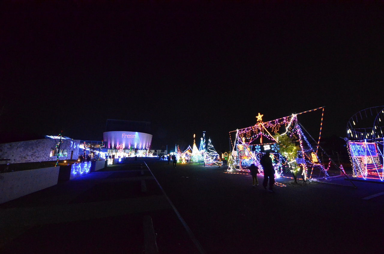 イルミネーションフェスタ2017