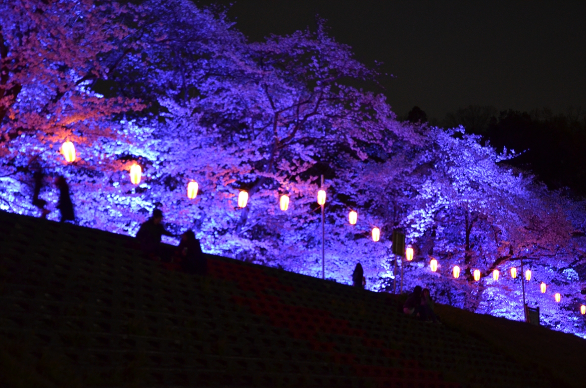 吉見町桜まつり2016