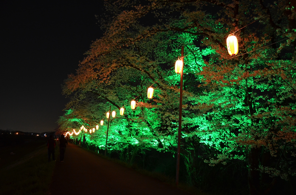 吉見町桜まつり2016