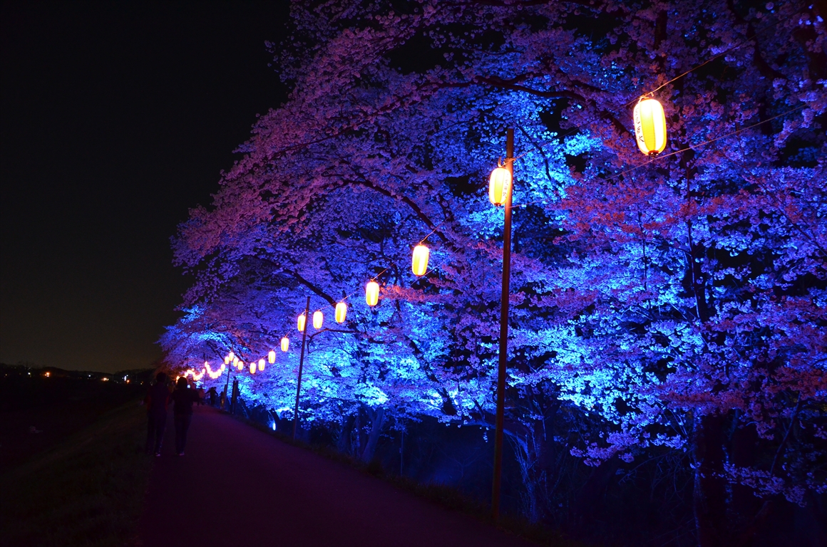 吉見町桜まつり2016