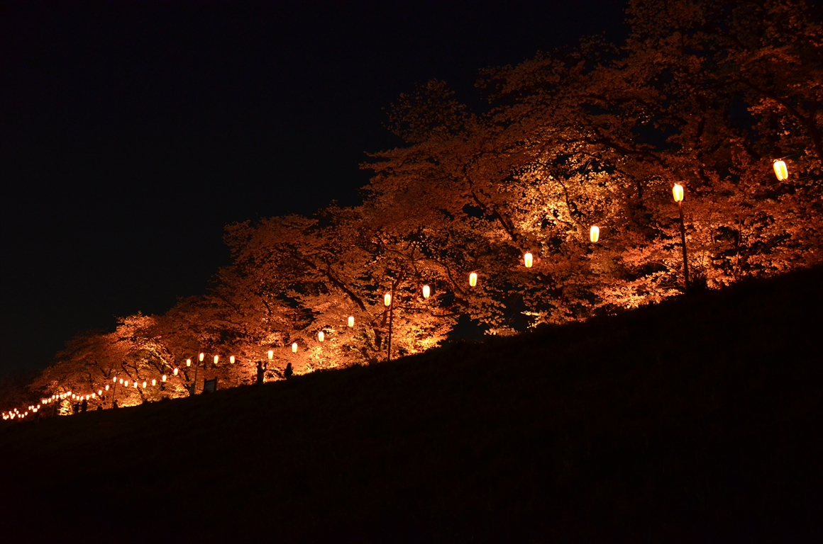 吉見町桜まつり2016