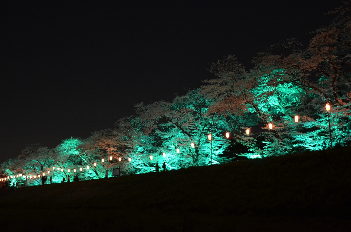 吉見町桜まつり2016