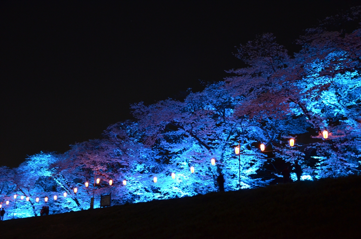 吉見町桜まつり2016