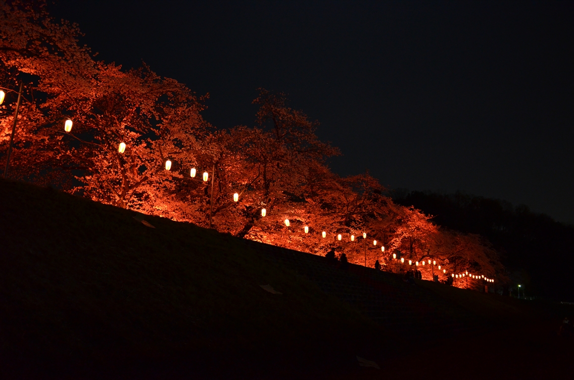吉見町桜まつり2016