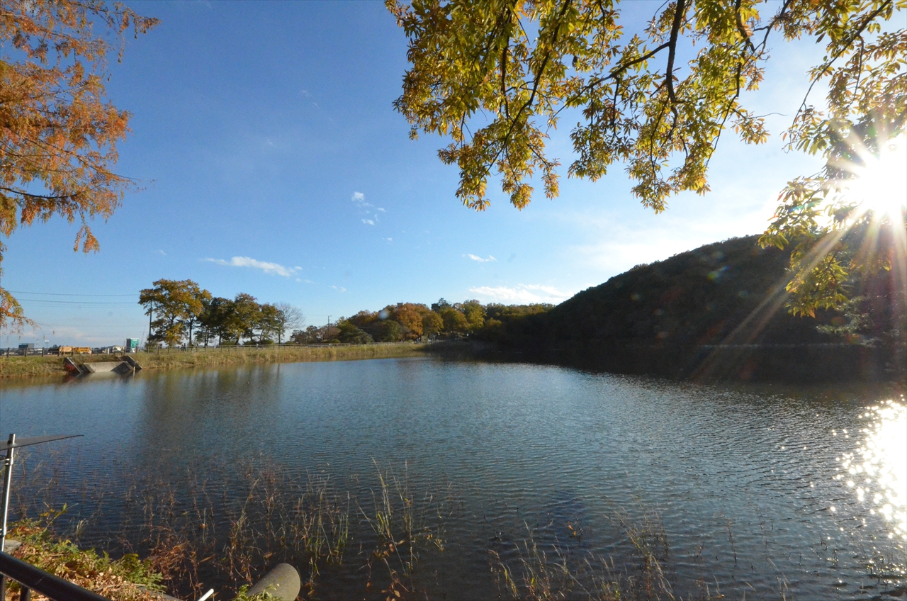 八丁湖ヒーリングナイト2017