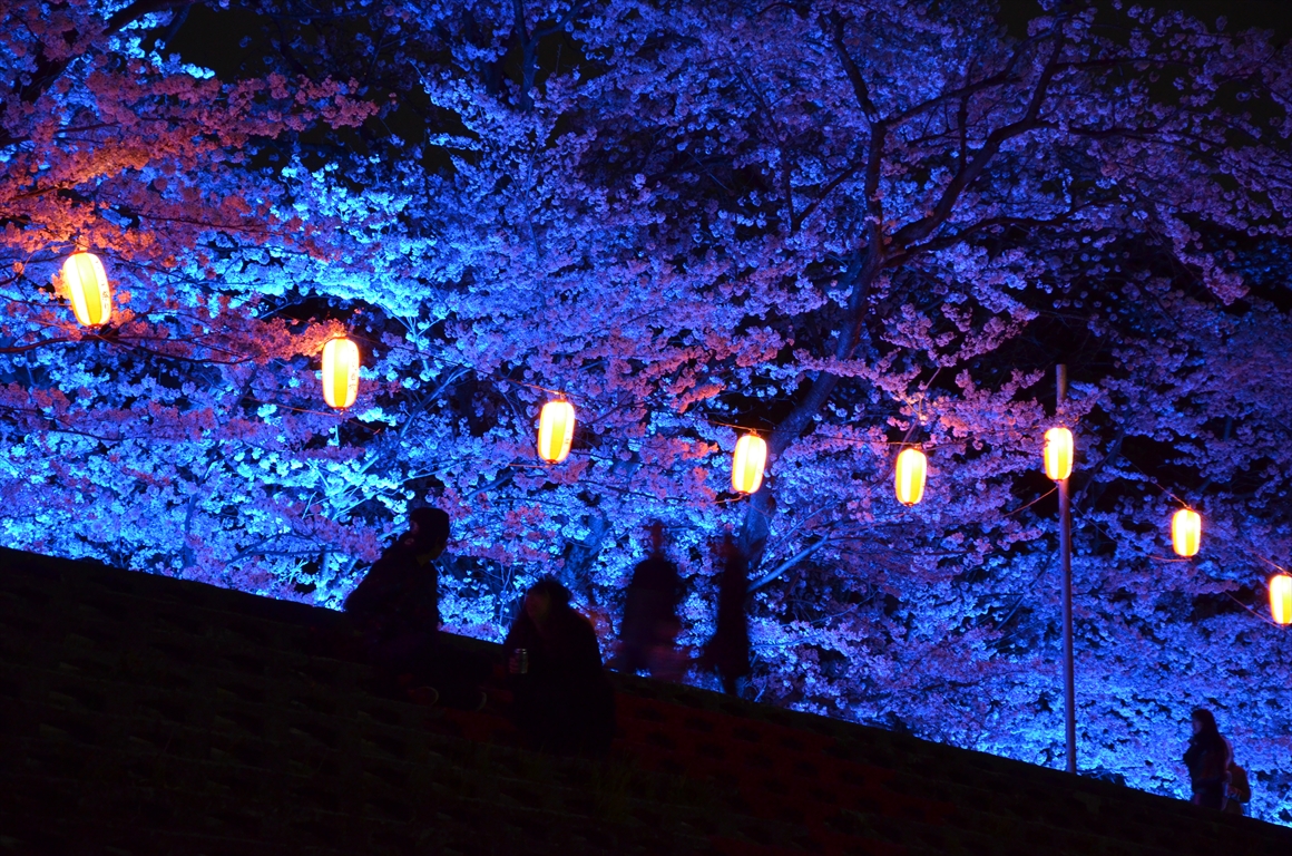 吉見町桜まつり2016
