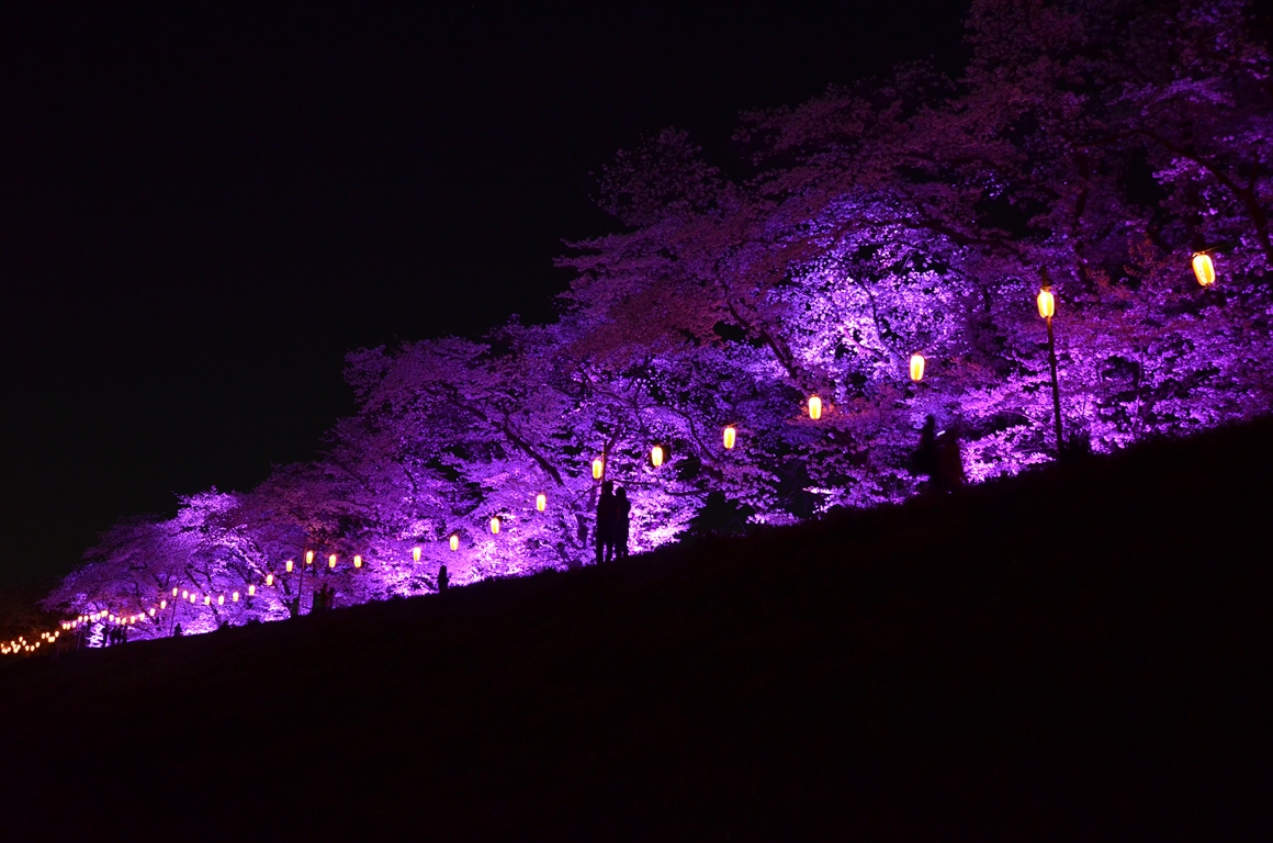 吉見町桜まつり2016
